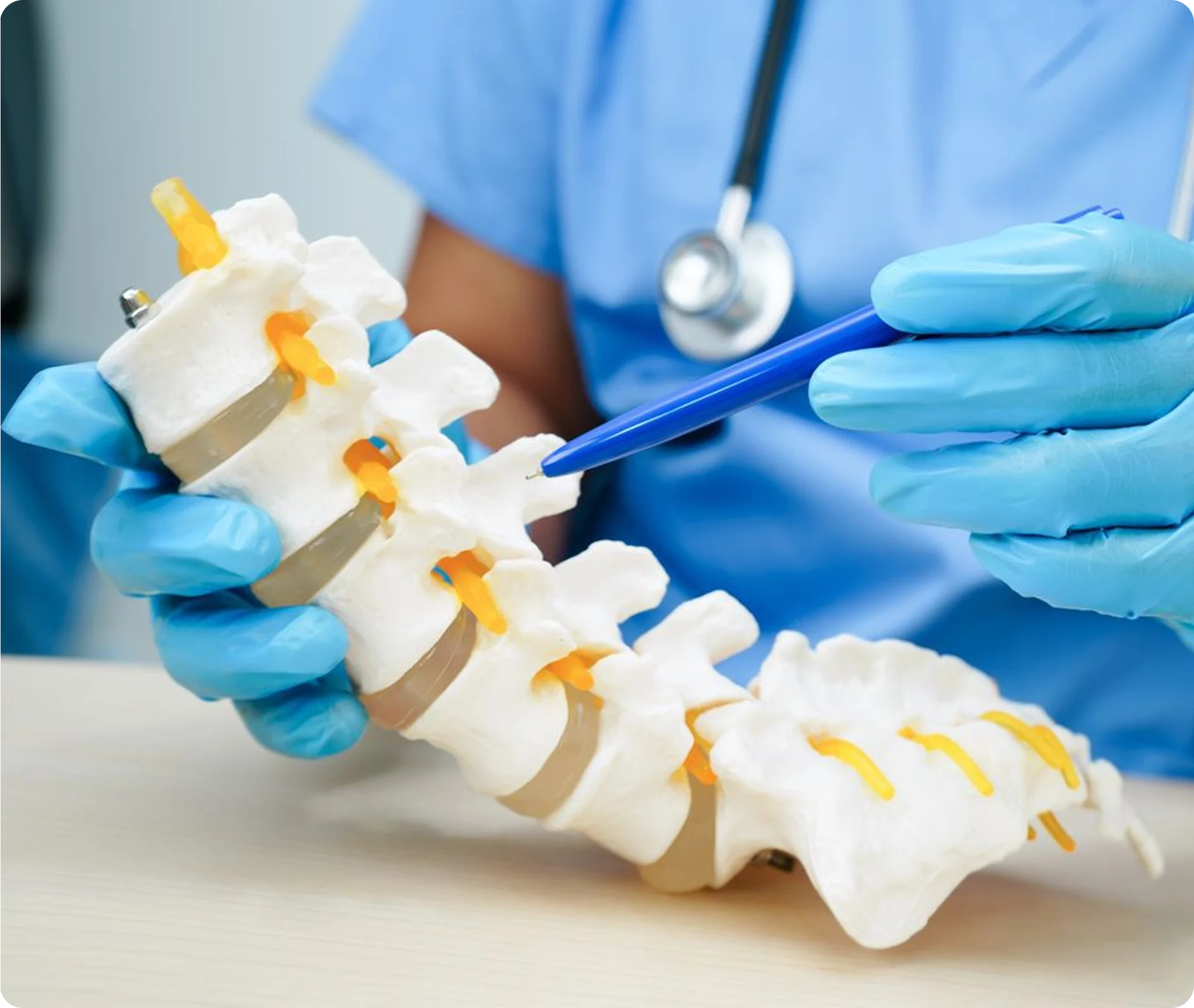 Spine anatomy consultation at Novar&eacute;